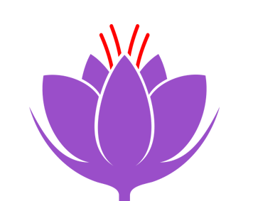 لوگو هزاربو